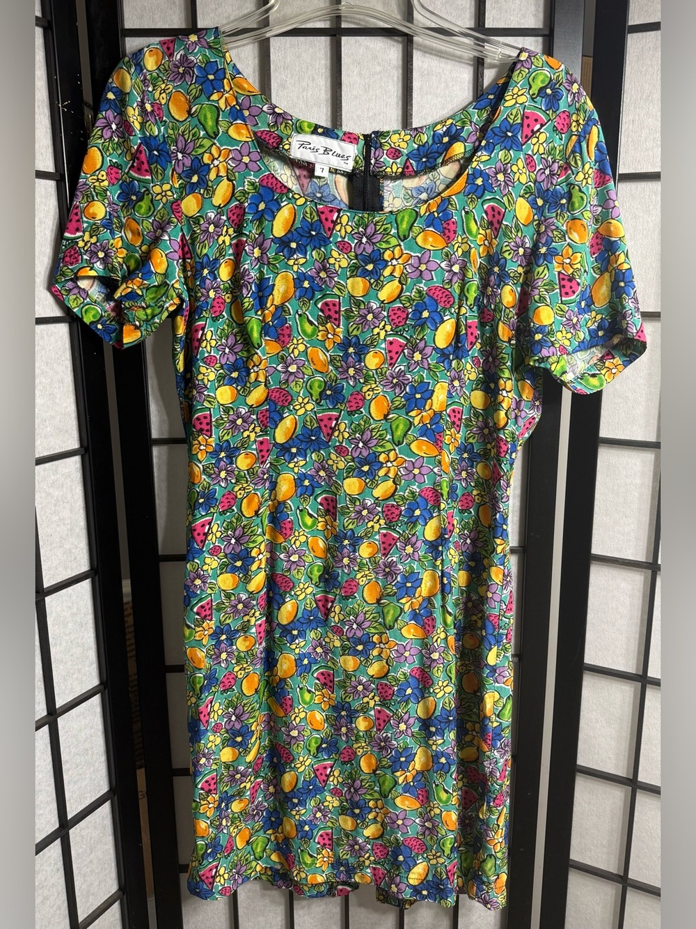 Vintage Paris Blues Multicolor Fruit & Floral Print Dress Scoop Neck Size 7